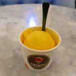 Gelato Fresco - と、言うことでマンゴージェラートが目の前に到着！