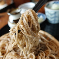 紗羅餐 本店 - 十割蕎麦