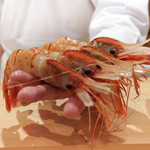 東麻布 天本 -  紹興酒漬けのボタンエビ 