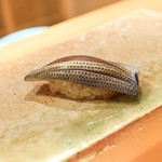 東麻布 天本 - コハダ