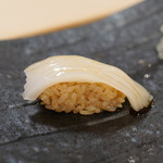 鮨山吹 - アオリイカ