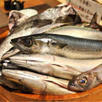 海鮮炉端シャンス - 魚を選べるんです！