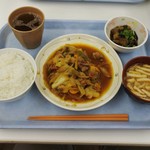 Ryoushinkan Shokudou - 鶏肉のカレー炒め＆さっぱり揚げ出し茄子