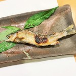 新ばし 星野 - 愛知 根羽川の鮎