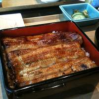 駒形前川 新丸ビル店 - うな重(高い方)