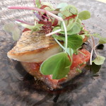 T.N - 淡路産黒鯛 トマトとミントのケッカソース