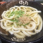 Hanamaru Udon - かけ小