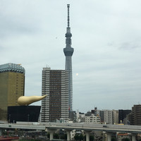 浅草むぎとろ 本店 - 