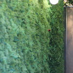 RESTAURANT hidamarino - 店舗入口