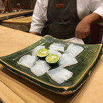 初音鮨 - （2017年6月）アオリイカ