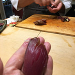 初音鮨 - （2017年6月）背の部分