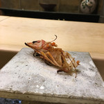 初音鮨 - （2017年6月）車海老の頭