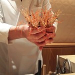 銀座 しのはら - ボタンエビ飛んだ！