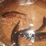 銀座 しのはら - 鮎