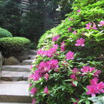 中国料理 四川 - 庭園