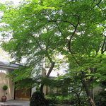 中国料理 四川 - 庭園とチャペル