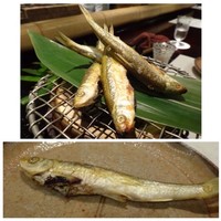 二条有恒 - ＊京都で頂く「もろこ」は身がフックラして美味しいこと。