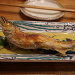 夜ノ焼魚 ちょーちょむすび - 炭火で焼いた鮎