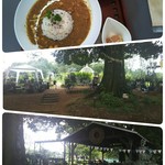 プラナス - ランチも景色もごちそう。