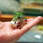 寿司栄 - 千葉の船橋で獲れた金太郎鰯の握り