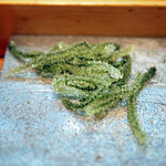 寿司栄 - 海ぶどう