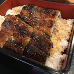 Unagi Senryou - 