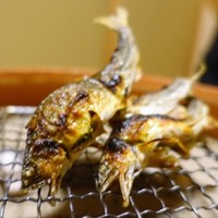 松川 - 19