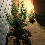 リストランテ ピッツェリア ジャンカルロ トウキョウ - July 2, 2017 @8pm