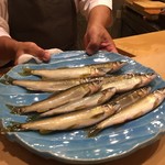 初音鮨 - 天然鮎