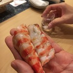 初音鮨 - 車海老