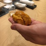 初音鮨 - 蝦夷馬糞ウニ