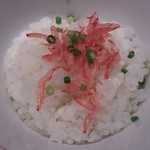 つけ麺一燈 - 7月の月替わり火・水曜日限定 「海老出汁冷やしそば」(1)