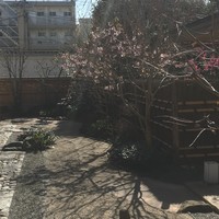 よし邑 - 