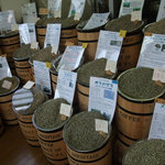 焙煎香房 シマノ - 40種類もの生豆！