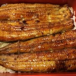 鰻はし本 - うな重 い