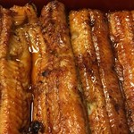 鰻はし本 - うな重 ろ