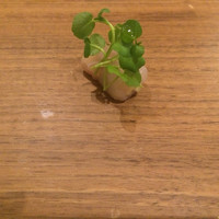 ル スプートニク - 