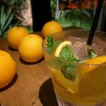 パウロ アンド ボルガ - ドリンク写真: