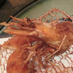 とんかつ マンジェ - 天使の海老フライ(頭)