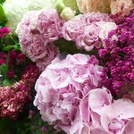 バンチオブピオニース - お花屋さんなので、美しい花々が販売されています。
            ちなみにブーケのセンスも抜群です！