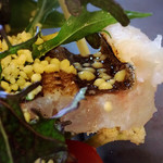 ステラ カデンテ - プリップリの鱧！