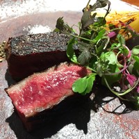TACUBO - 