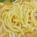 横浜家系らーめん りゅう - 麺は酒井の中太麺。