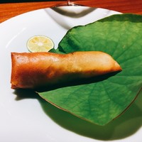 TACUBO - 