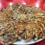 純華楼 - 焼き餃子5人前