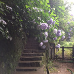 再度山荘 - 山荘に上がる階段です。アジサイのアーチが迎えてくれます。