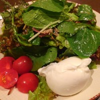 オービカ モッツァレラバー 梅田店 - 