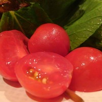 オービカ モッツァレラバー 梅田店 - 