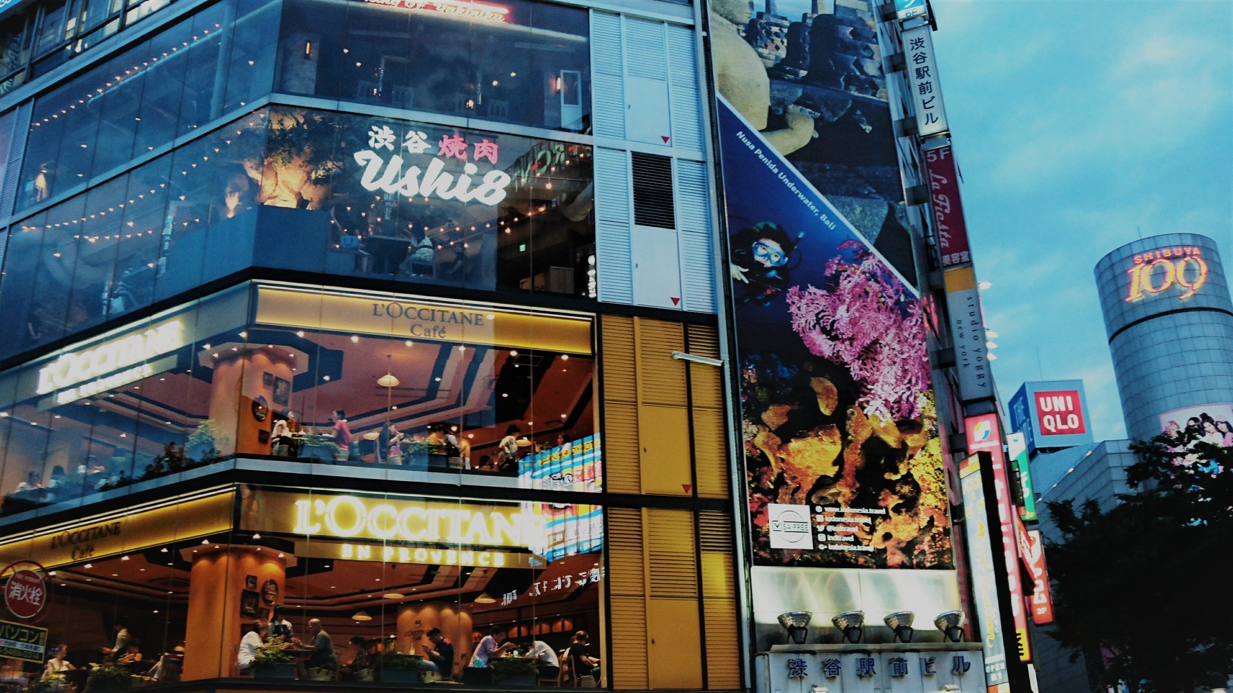 渋谷 和牛焼肉 USHIHACHI 極