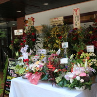 Osteria Tutto Sole - 